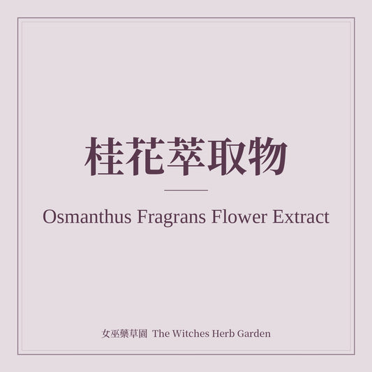 Osmanthus Fragrans Flower Extract