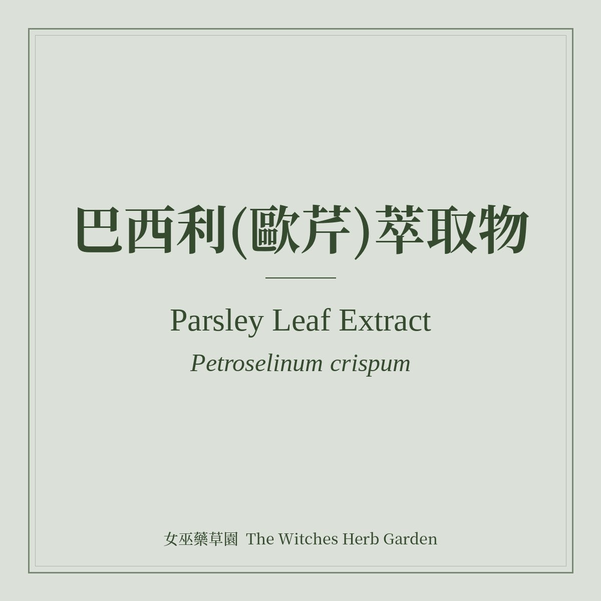 Parsley Leaf Extract Petroselinum crispum