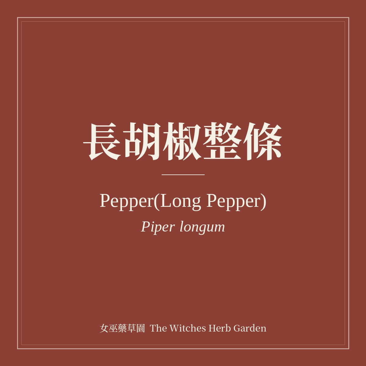 Pepper(Long Pepper) 長胡椒整條 Piper longum
