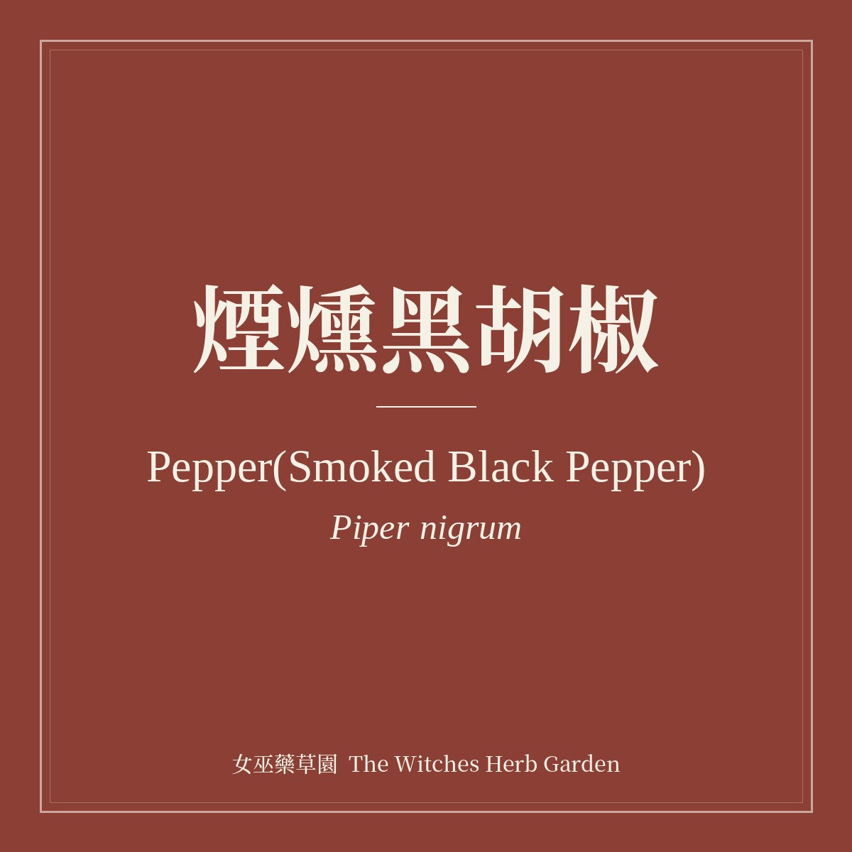 Pepper(Smoked Black Pepper) 煙燻黑胡椒 Piper nigrum