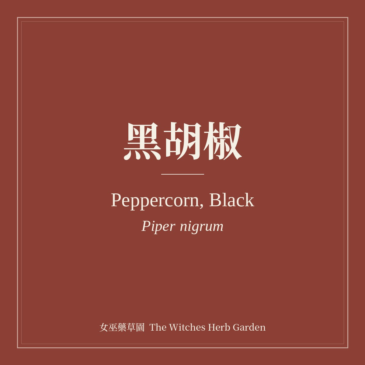 Peppercorn, Black 黑胡椒 Piper nigrum