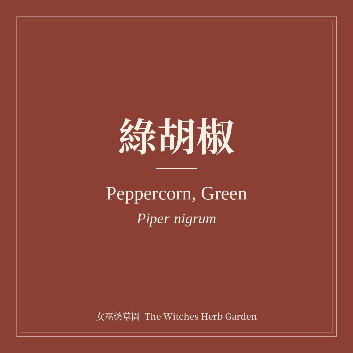 Peppercorn, Green 綠胡椒 Piper nigrum