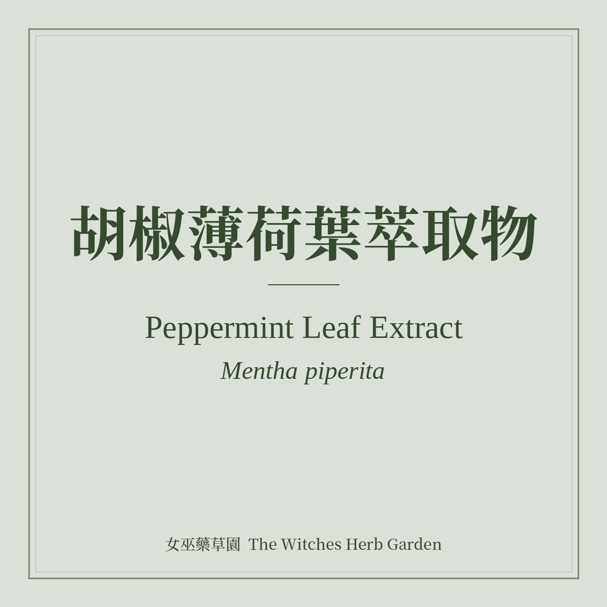 Peppermint Leaf Extract 胡椒薄荷葉萃取物 Mentha piperita