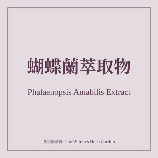 Phalaenopsis Amabilis Extract