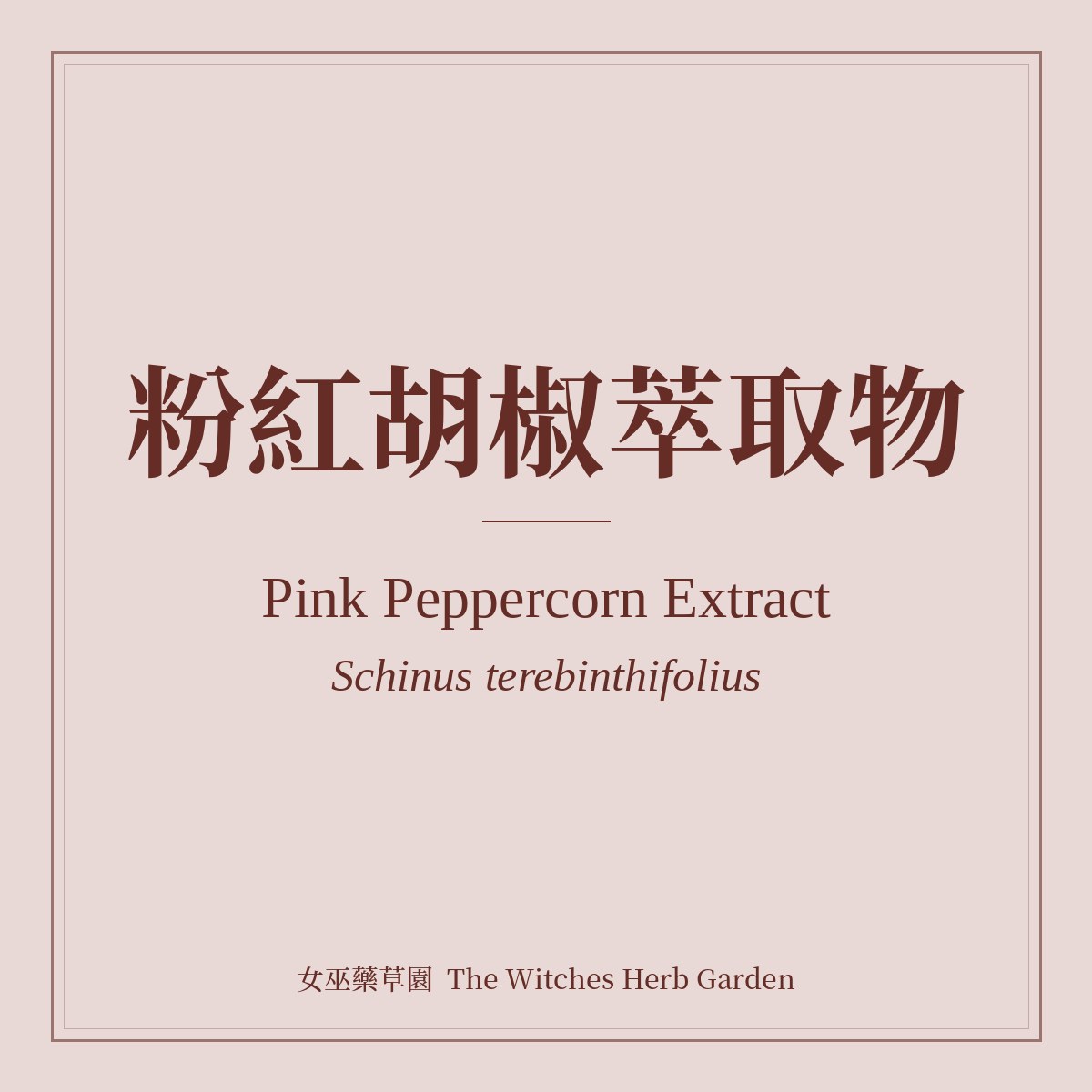 Pink Peppercorn Extract 粉紅胡椒萃取物 Schinus terebinthifolius