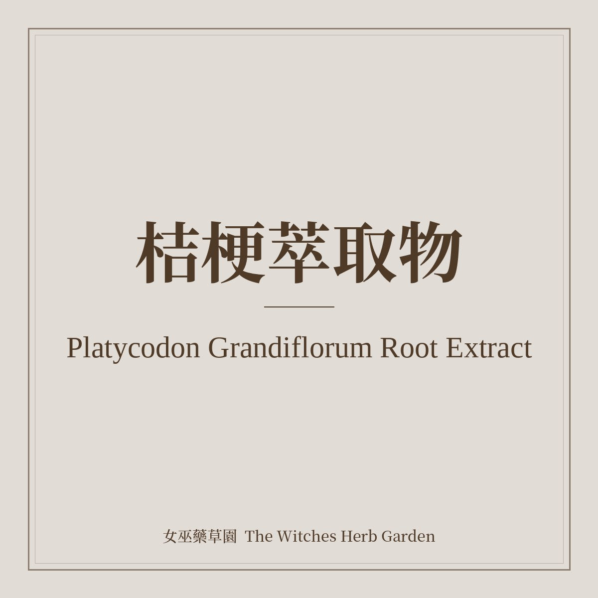 Platycodon Grandiflorum Root Extract 桔梗萃取物