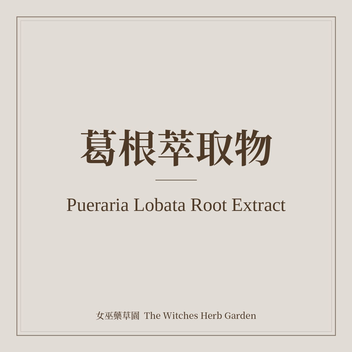 Pueraria Lobata Root Extract 葛根萃取物