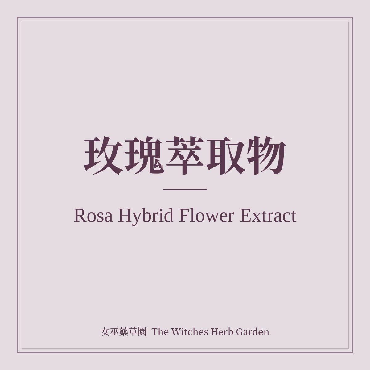 Rosa Hybrid Flower Extract 玫瑰萃取物