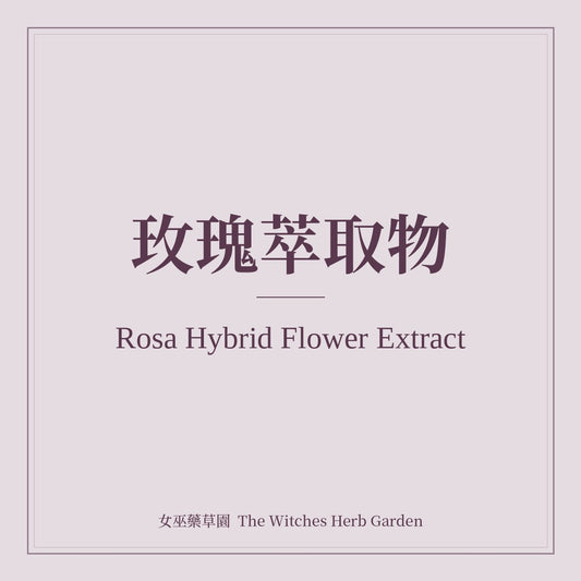 Rosa Hybrid Flower Extract