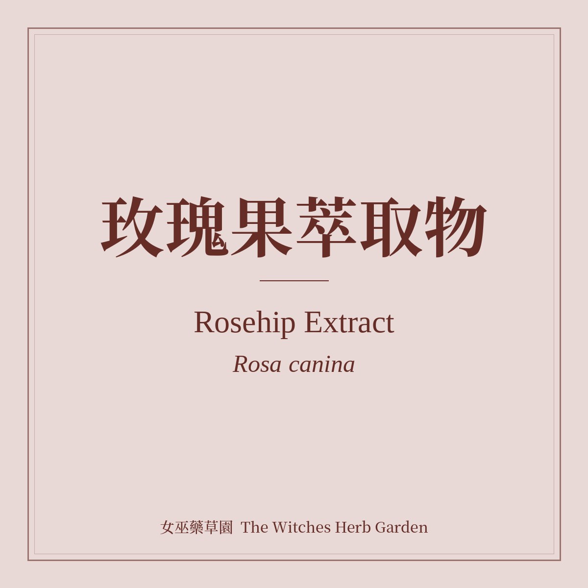 Rosehip Extract 玫瑰果萃取物 Rosa canina