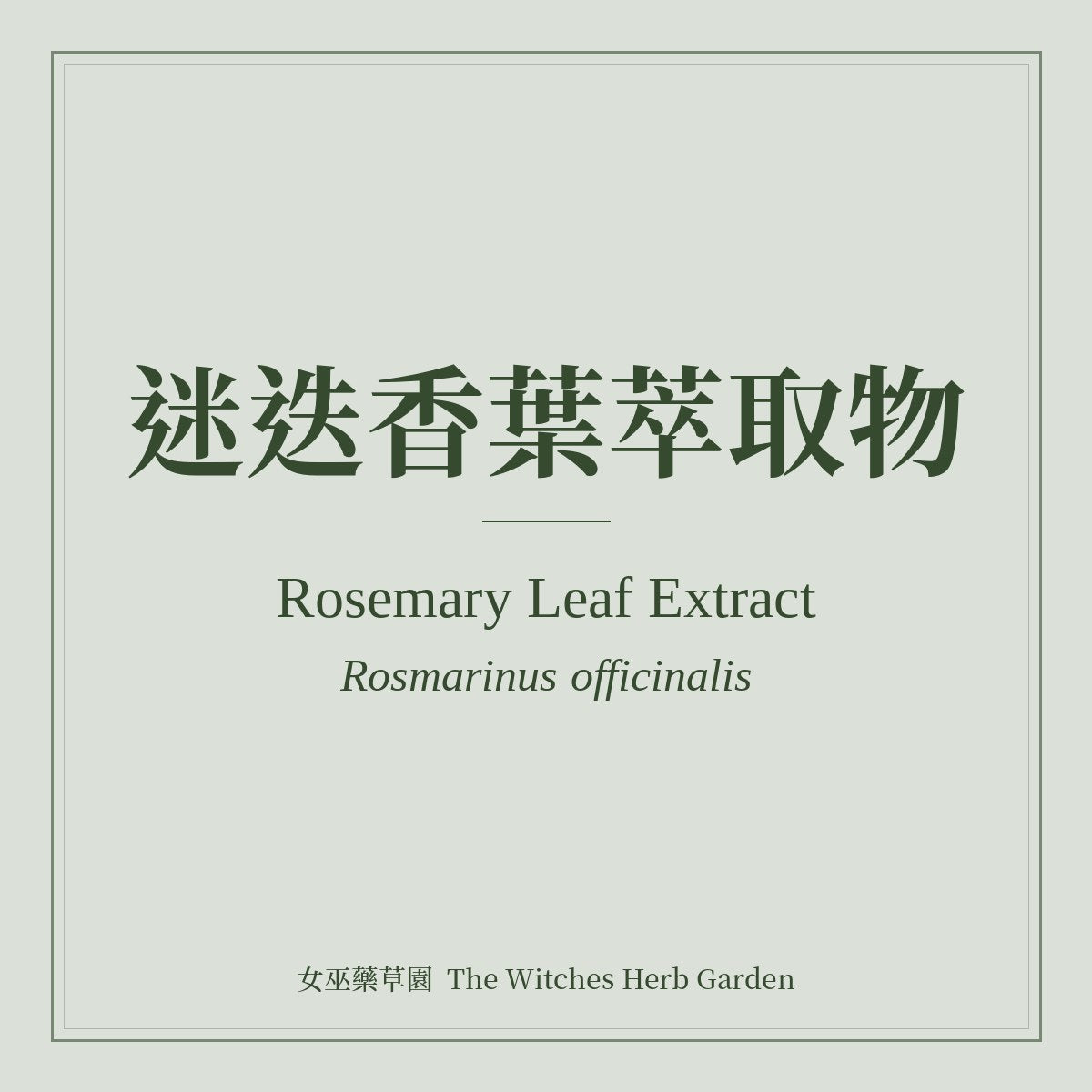 Rosemary Leaf Extract Rosmarinus officinalis