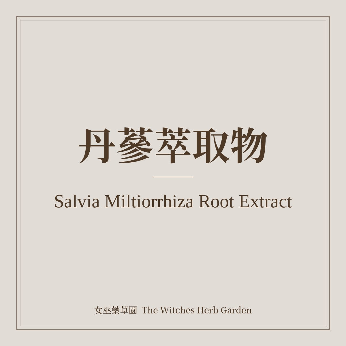 Salvia Miltiorrhiza Root Extract 丹蔘萃取物