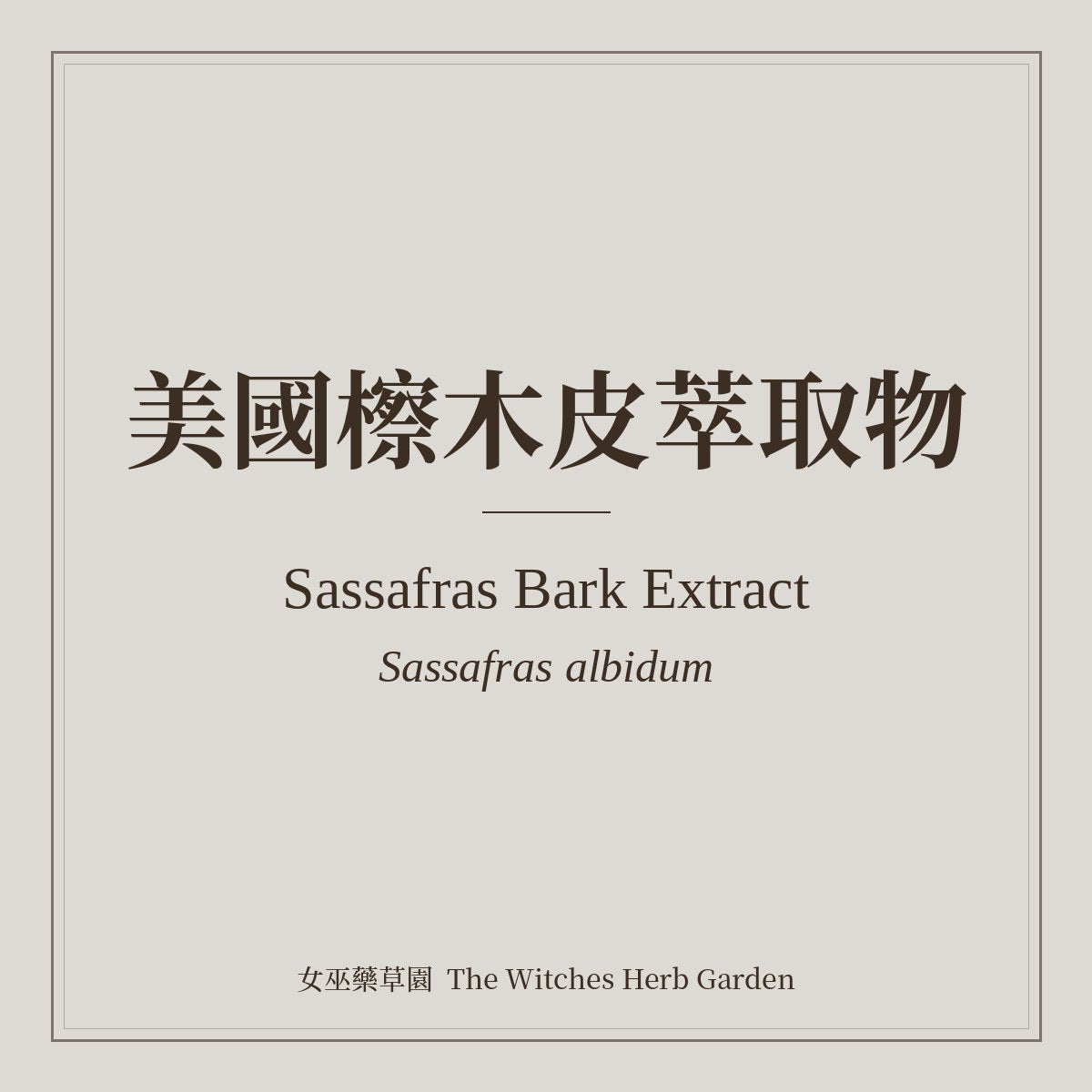 Sassafras Bark Extract Sassafras albidum
