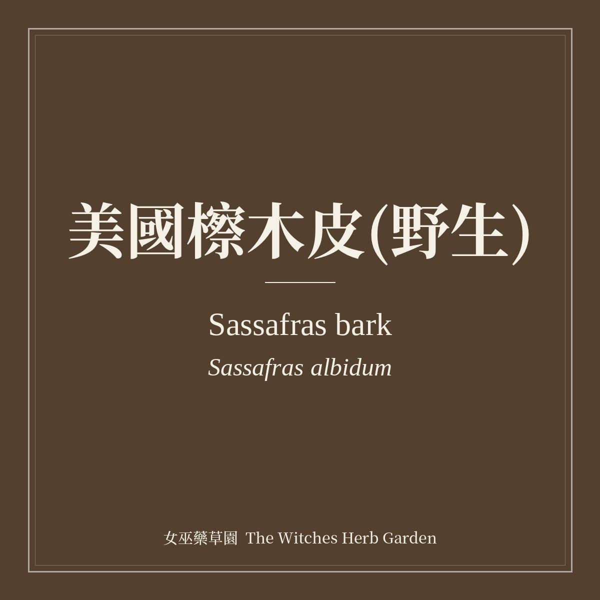 Sassafras bark 美國檫木皮(野生) Sassafras albidum
