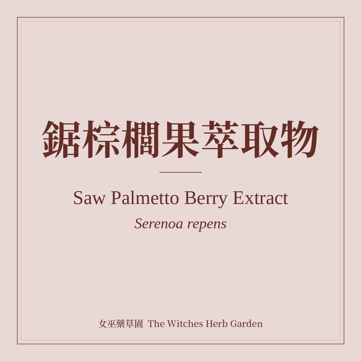 Saw Palmetto Berry Extract 鋸棕櫚果萃取物 Serenoa repens