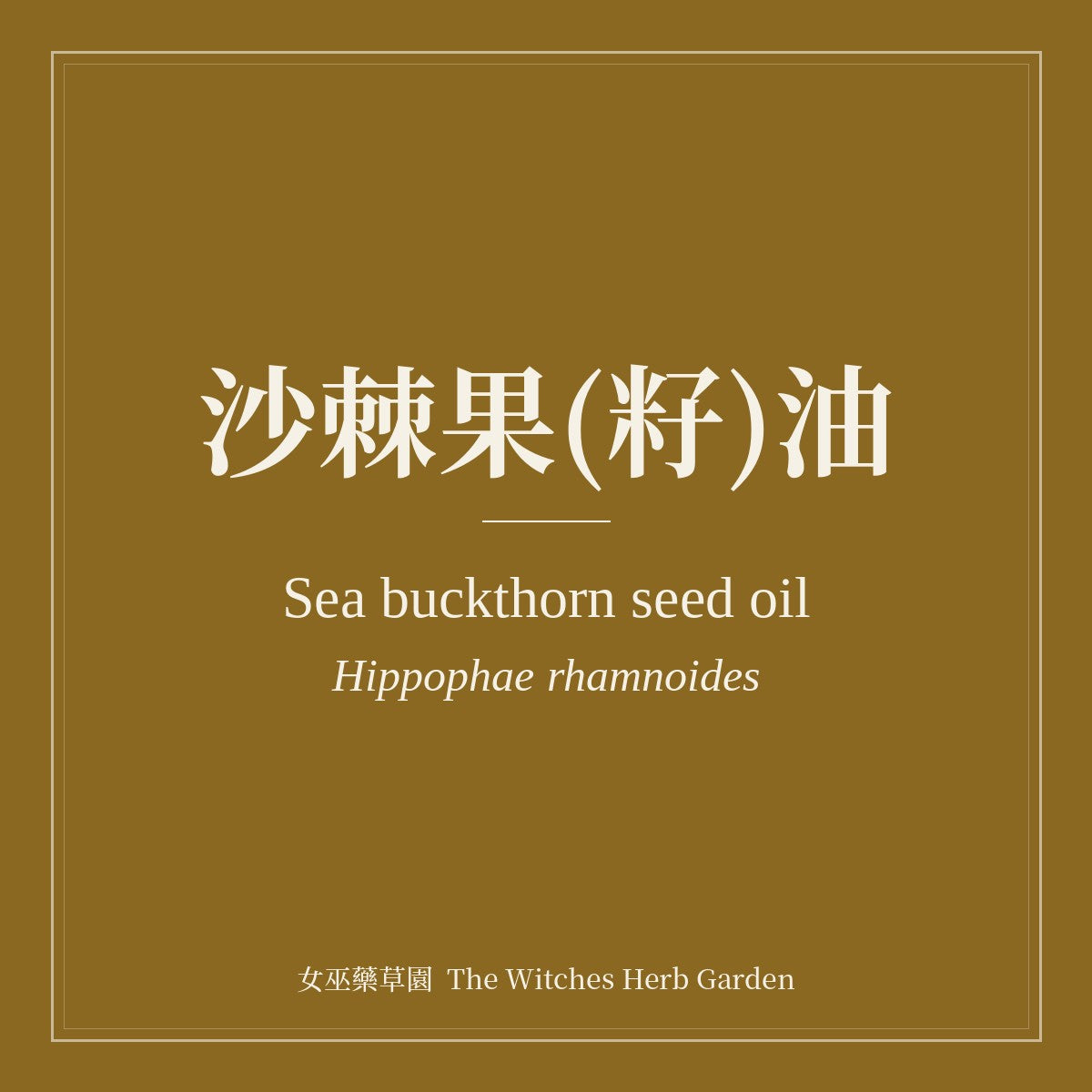 Sea Buckthorn Seed Oil