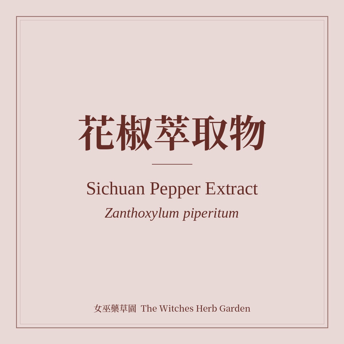 Sichuan Pepper Extract 花椒萃取物 Zanthoxylum piperitum