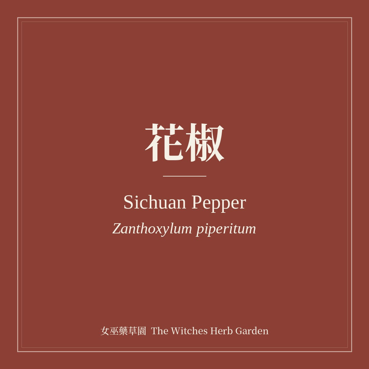 Sichuan Pepper 花椒 Zanthoxylum piperitum
