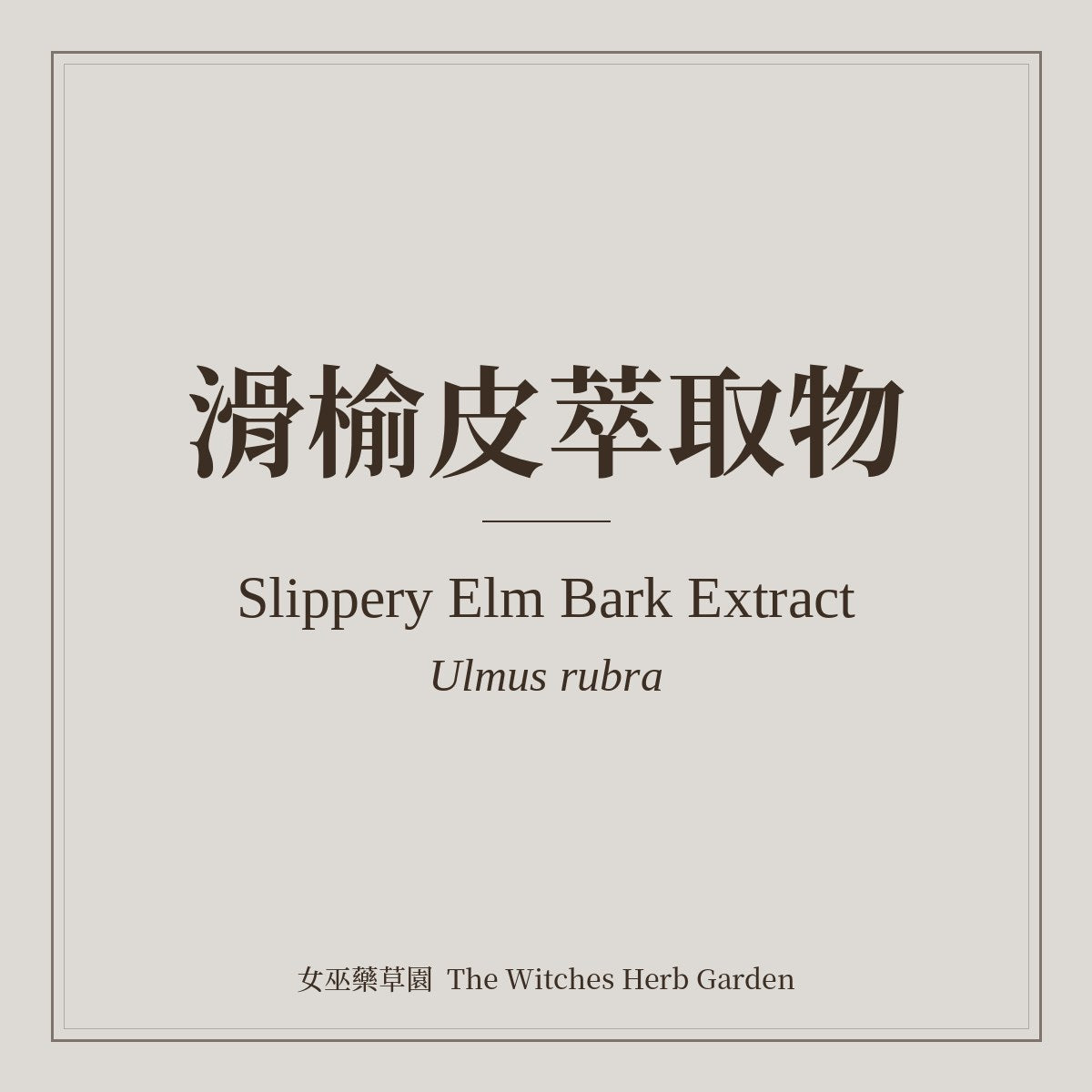 Slippery Elm Bark Extract 滑榆皮萃取物 Ulmus rubra