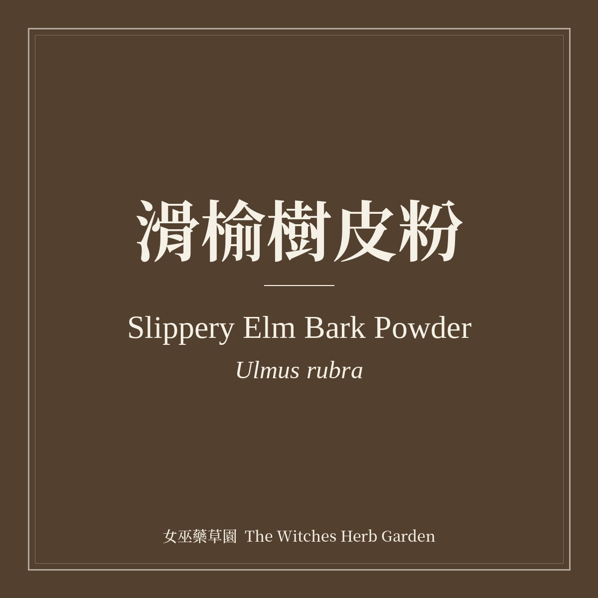 Slippery Elm Bark Powder 滑榆樹皮粉 Ulmus rubra