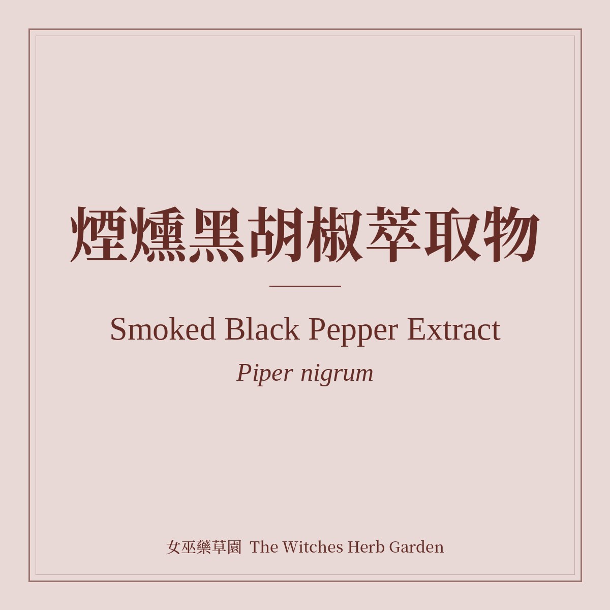 Smoked Black Pepper Extract 煙燻黑胡椒萃取物 Piper nigrum