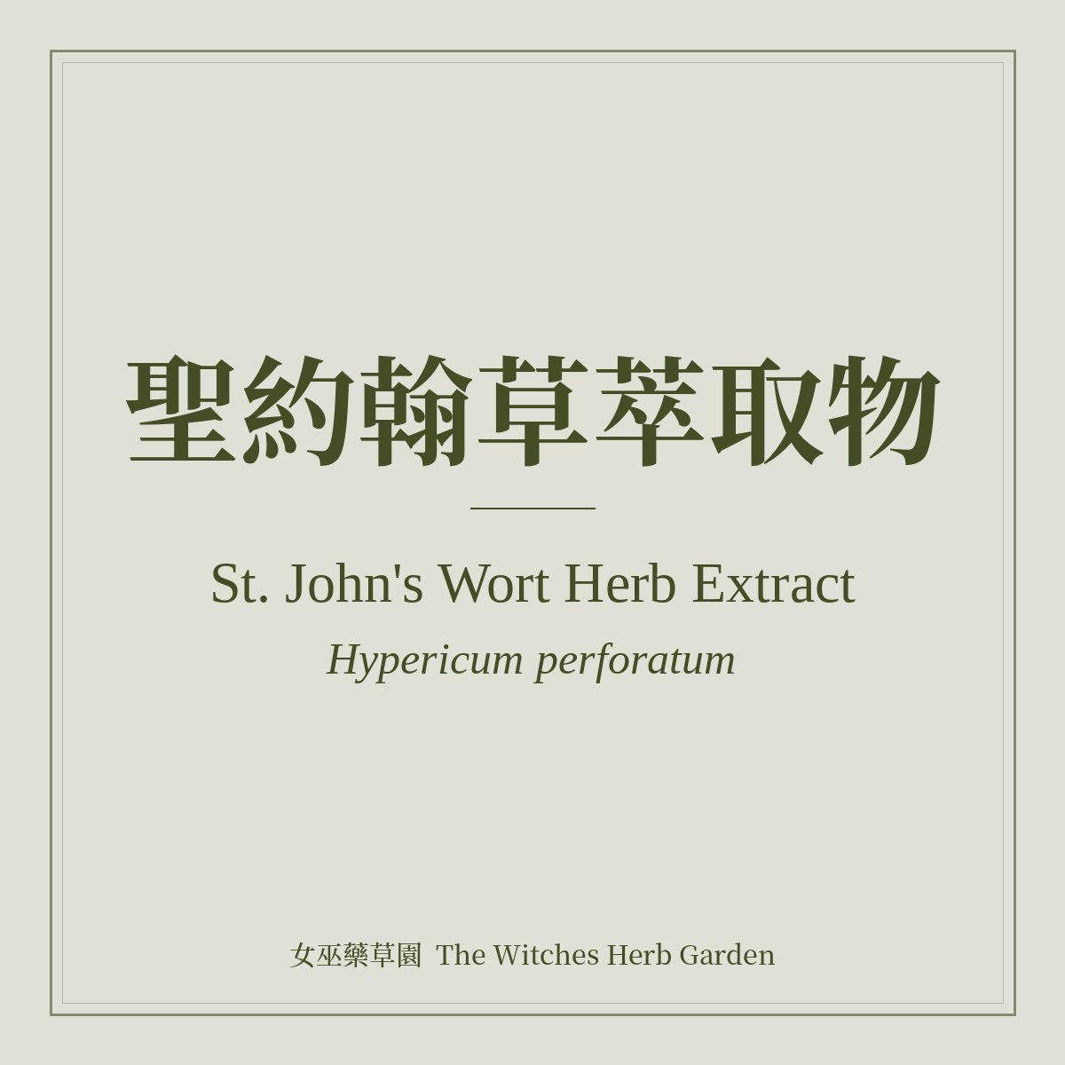 St. John's Wort Herb Extract 聖約翰草萃取物 Hypericum perforatum