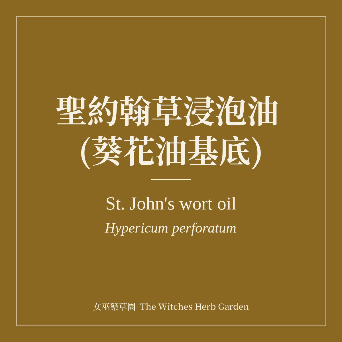 St. John's Wort Infused Oil (Sunflower Oil Base)
