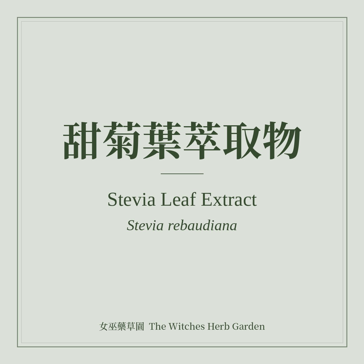 Stevia Leaf Extract 甜菊葉萃取物 Stevia rebaudiana
