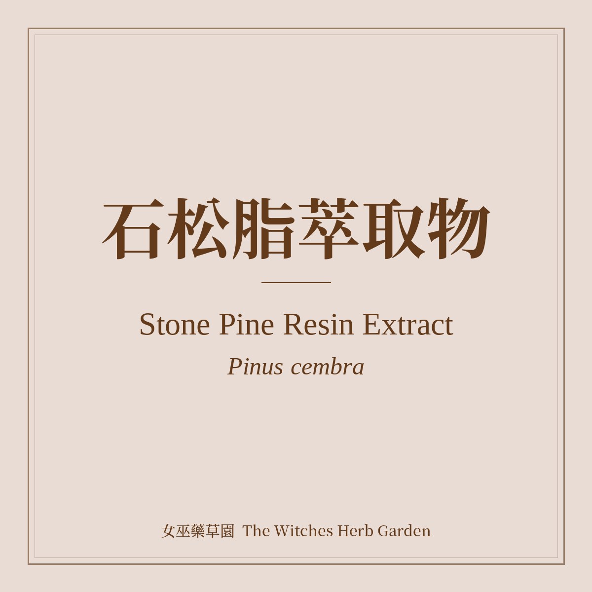Stone Pine Resin Extract Pinus cembra