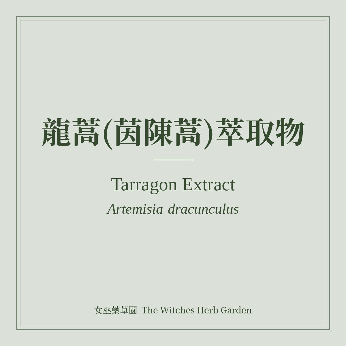 Tarragon Extract Artemisia dracunculus