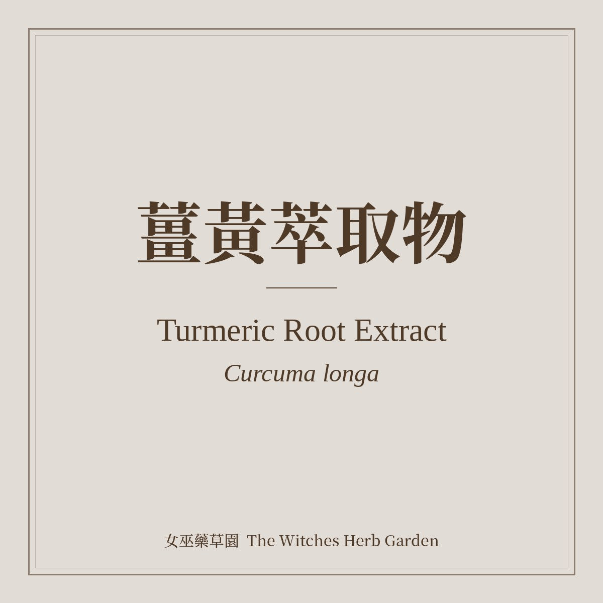 Turmeric Root Extract 薑黃萃取物 Curcuma longa