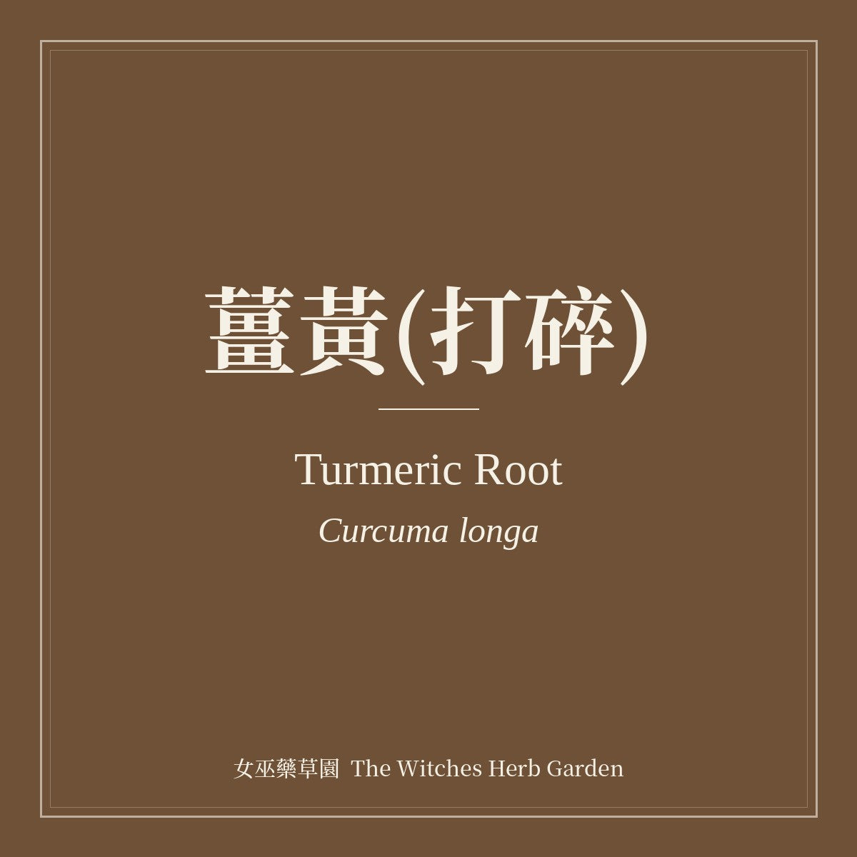 Turmeric Root 薑黃(打碎) Curcuma longa