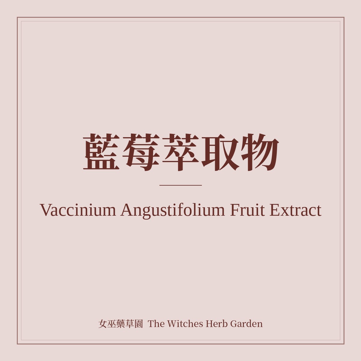 Vaccinium Angustifolium Fruit Extract 藍莓萃取物