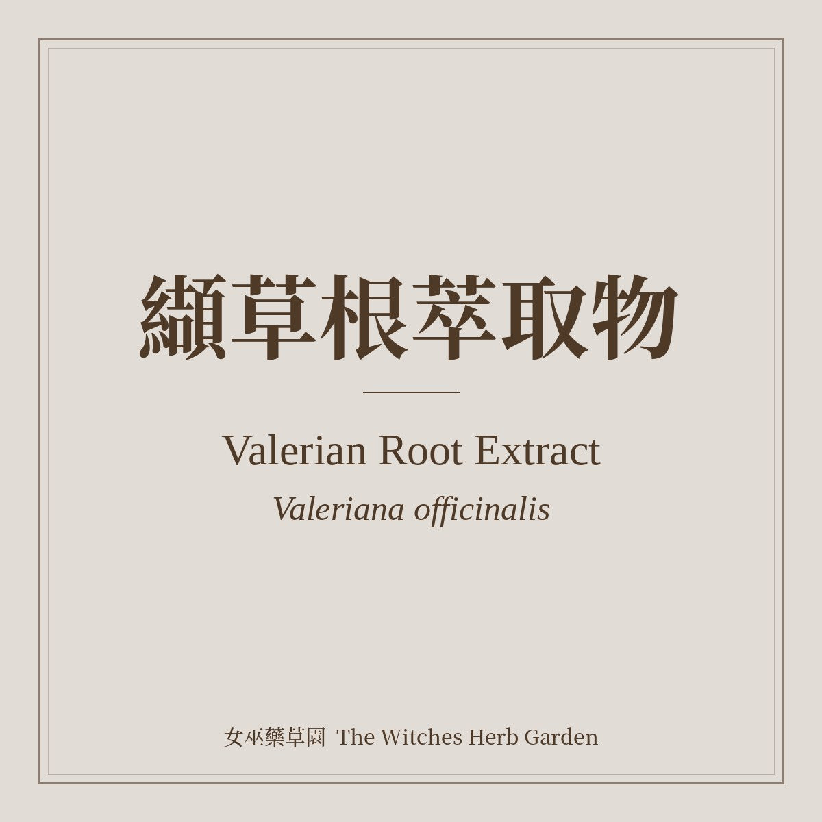 Valerian Root Extract Valeriana officinalis