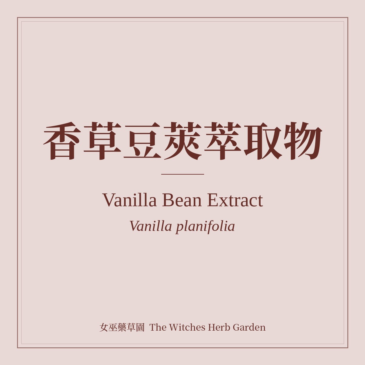 Vanilla Bean Extract Vanilla planifolia