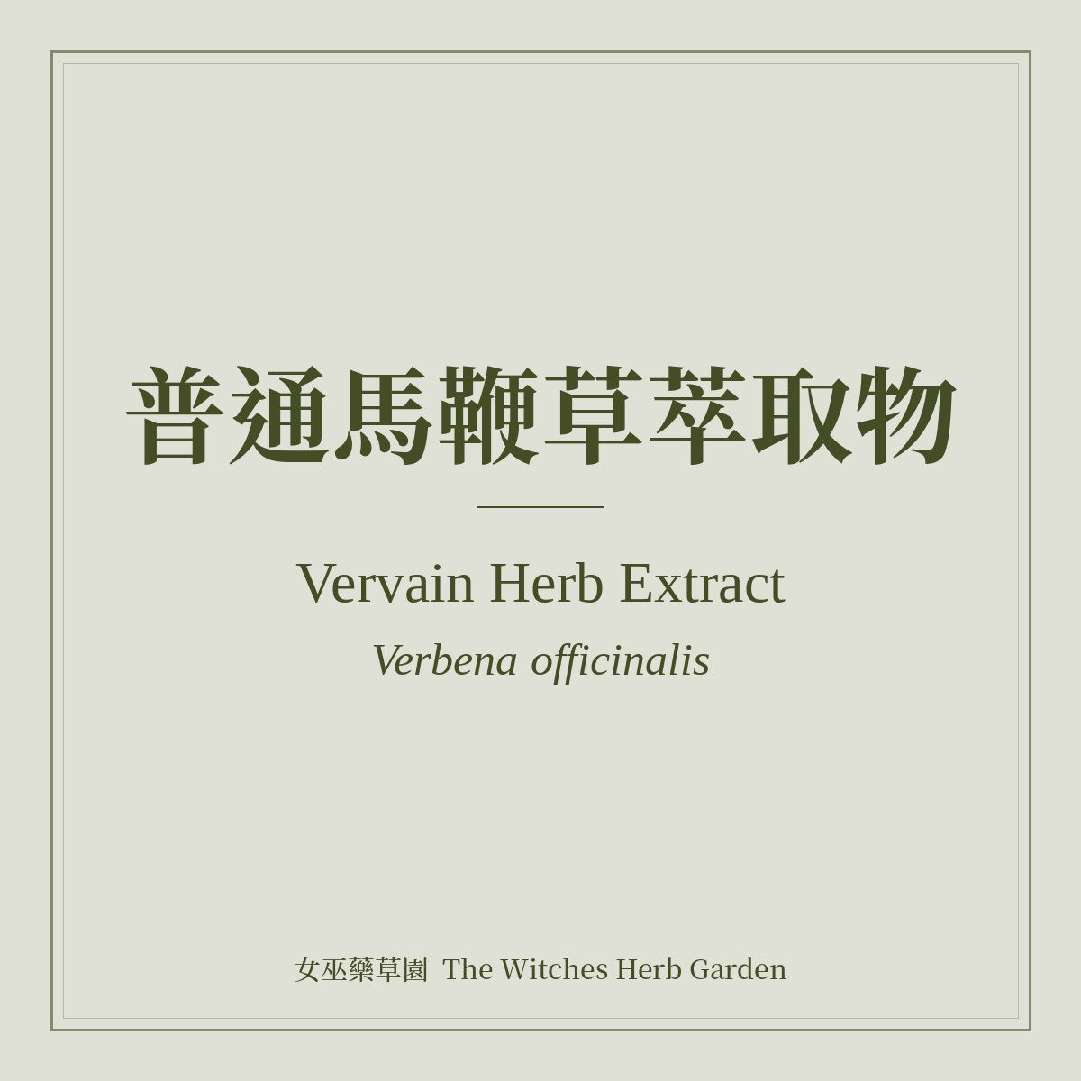 Vervain Herb Extract 普通馬鞭草萃取物 Verbena officinalis