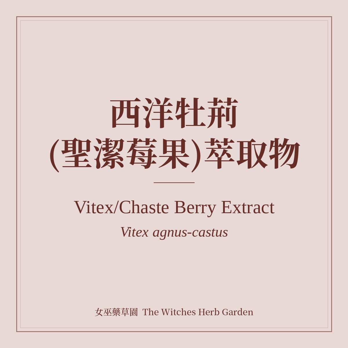 Vitex/Chaste Berry Extract 西洋牡荊(聖潔莓果)萃取物 Vitex agnus-castus