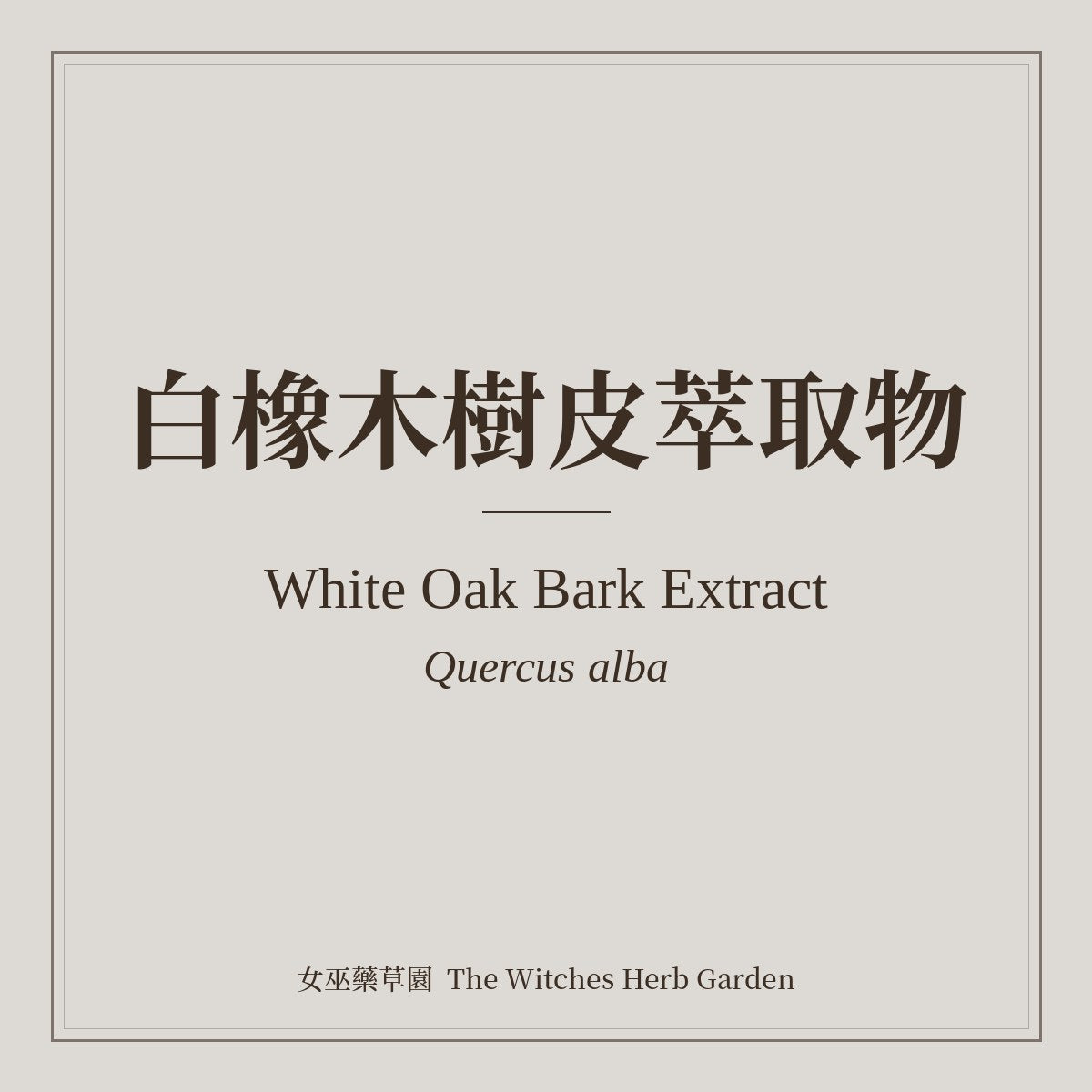White Oak Bark Extract 白橡木樹皮萃取物 Quercus alba