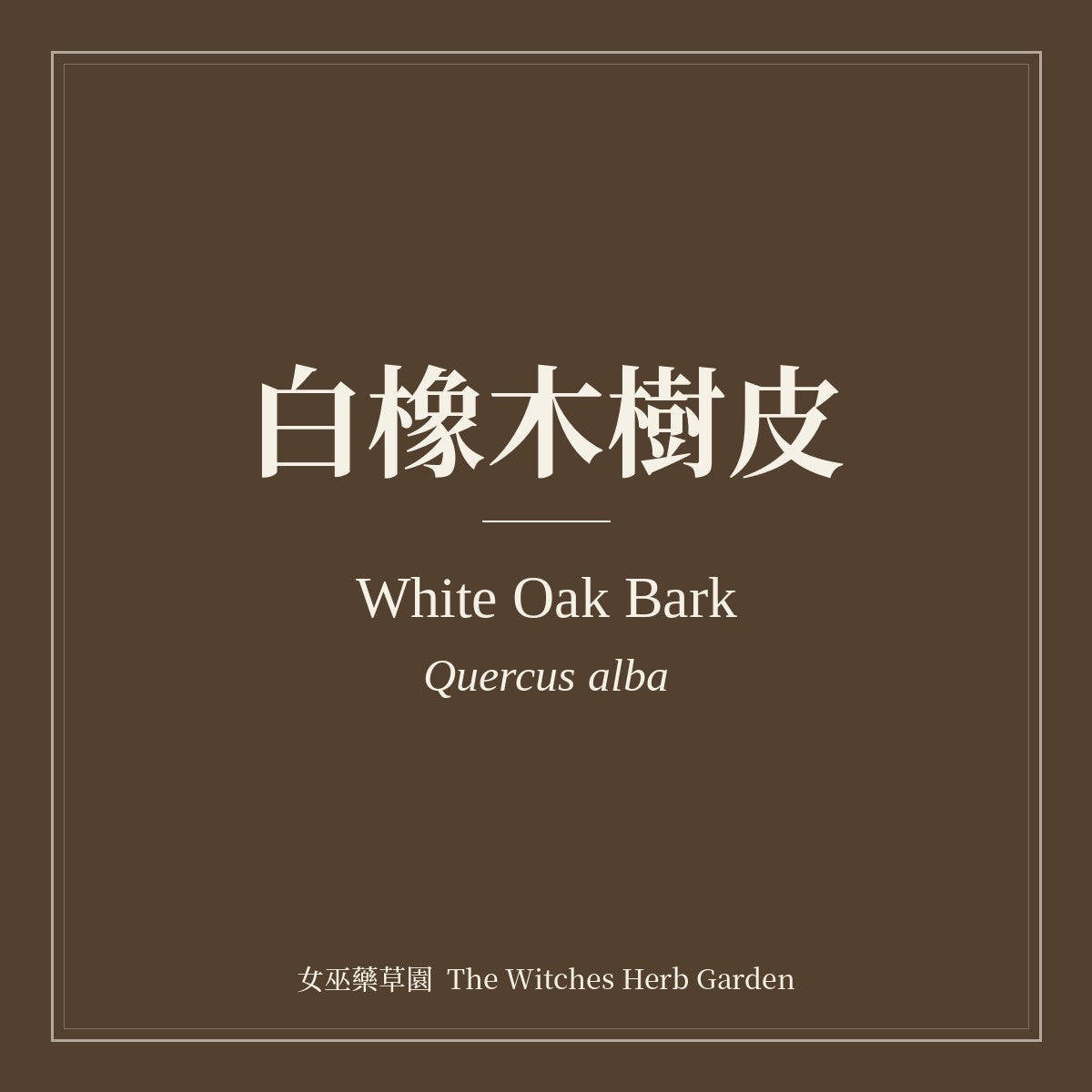 White Oak Bark Quercus alba
