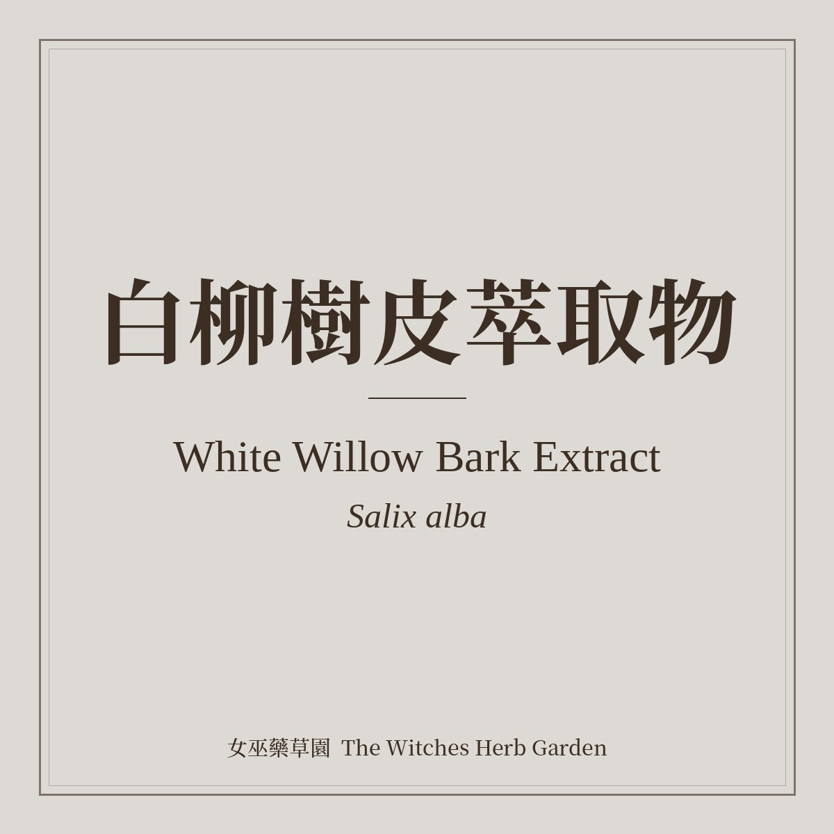 White Willow Bark Extract 白柳樹皮萃取物 Salix alba