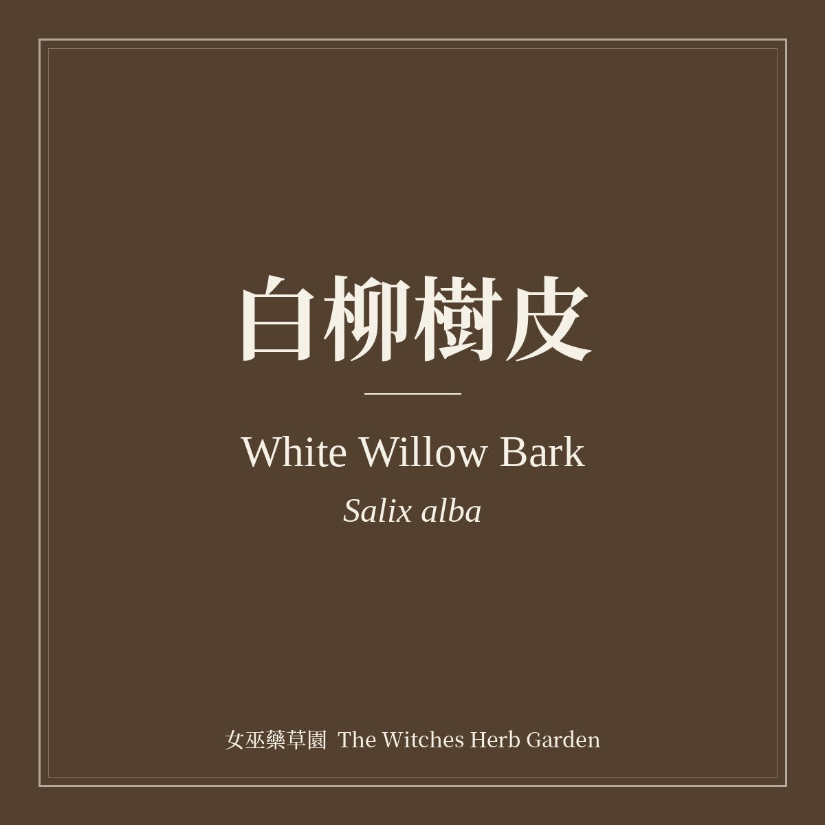 White Willow Bark Salix alba