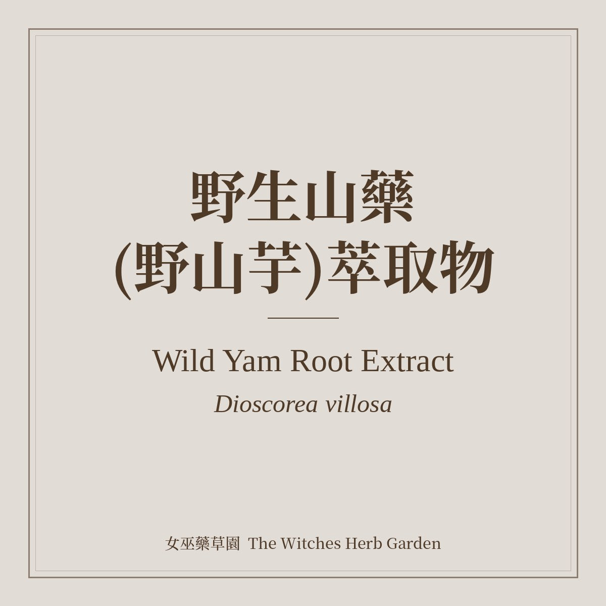 Wild Yam Root Extract 野生山藥(野山芋)萃取物 Dioscorea villosa