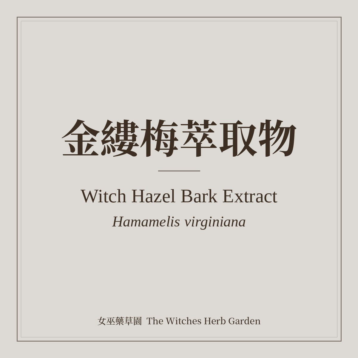 Witch Hazel Bark Extract 金縷梅萃取物 Hamamelis virginiana