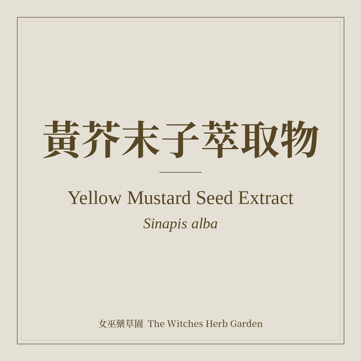 Yellow Mustard Seed Extract 黃芥末子萃取物 Sinapis alba